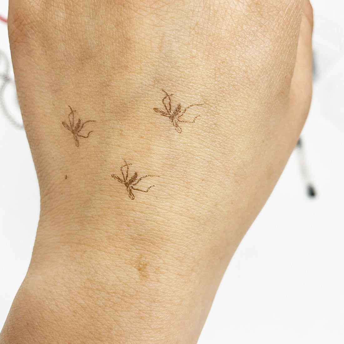 Mosquito Stamp By Havanex