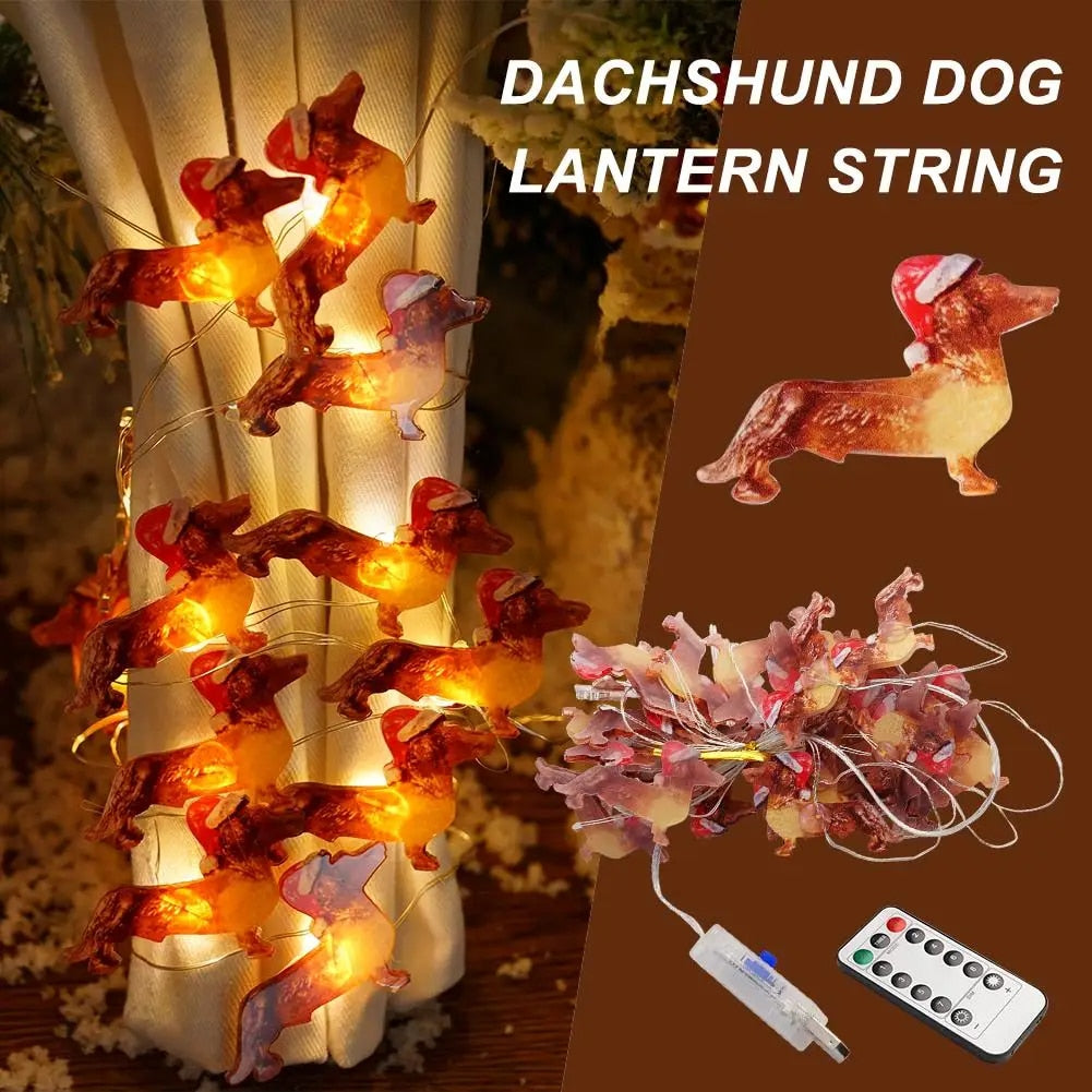 30 Dachshund Lights | Christmas 2023