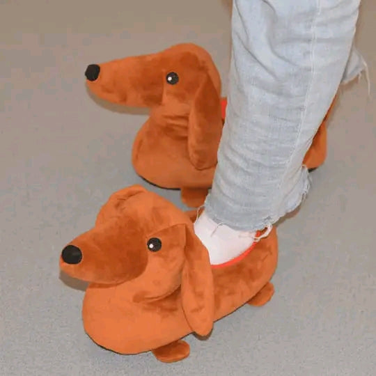 Dachshund Winter Shoes